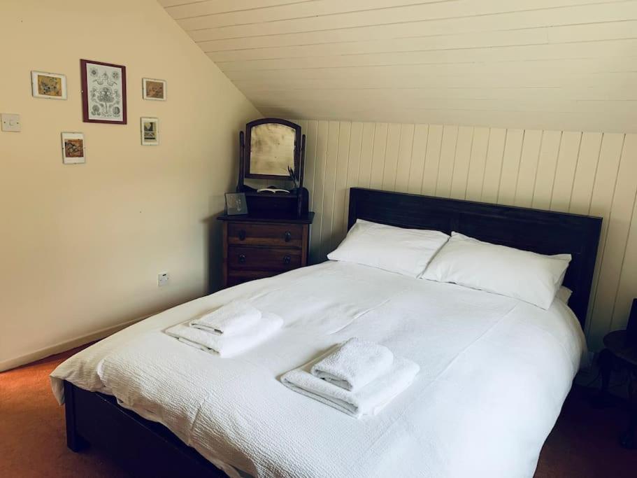 Trinity Annexe An Adorable First Floor Light And Lofty Space Within An Aonb Godmanstone ภายนอก รูปภาพ