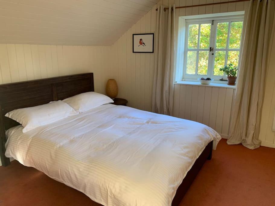 Trinity Annexe An Adorable First Floor Light And Lofty Space Within An Aonb Godmanstone ภายนอก รูปภาพ